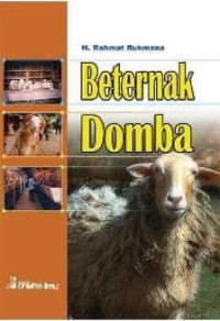 Beternak Domba