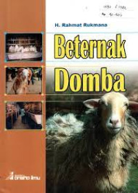 Beternak Domba