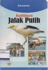 Budi daya jalak putih