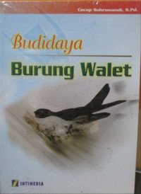 Budidaya Burung Walet