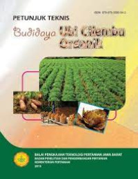 Budidaya Ubi Cilembu Organik