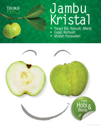 JAMBU KRISTAL