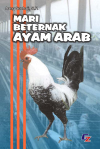 Mari Beternak Ayam Arab