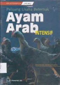 Peluang Usaha Beternak Ayam Arab Intensif